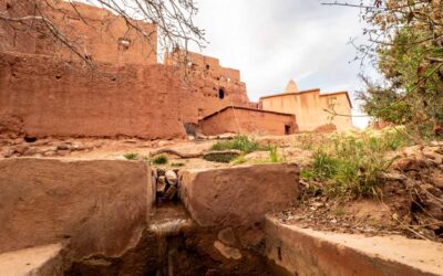 A Day at Auberge Atlas Dades: What to Do and See