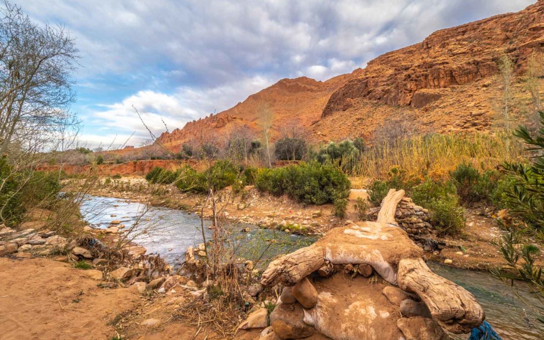 Exploring Ancient Berber Rock Art in the Atlas Mountains