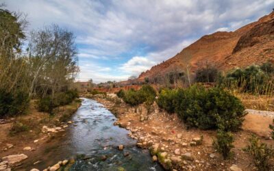 Secrets of Berber Cuisine at Auberge Atlas Dades