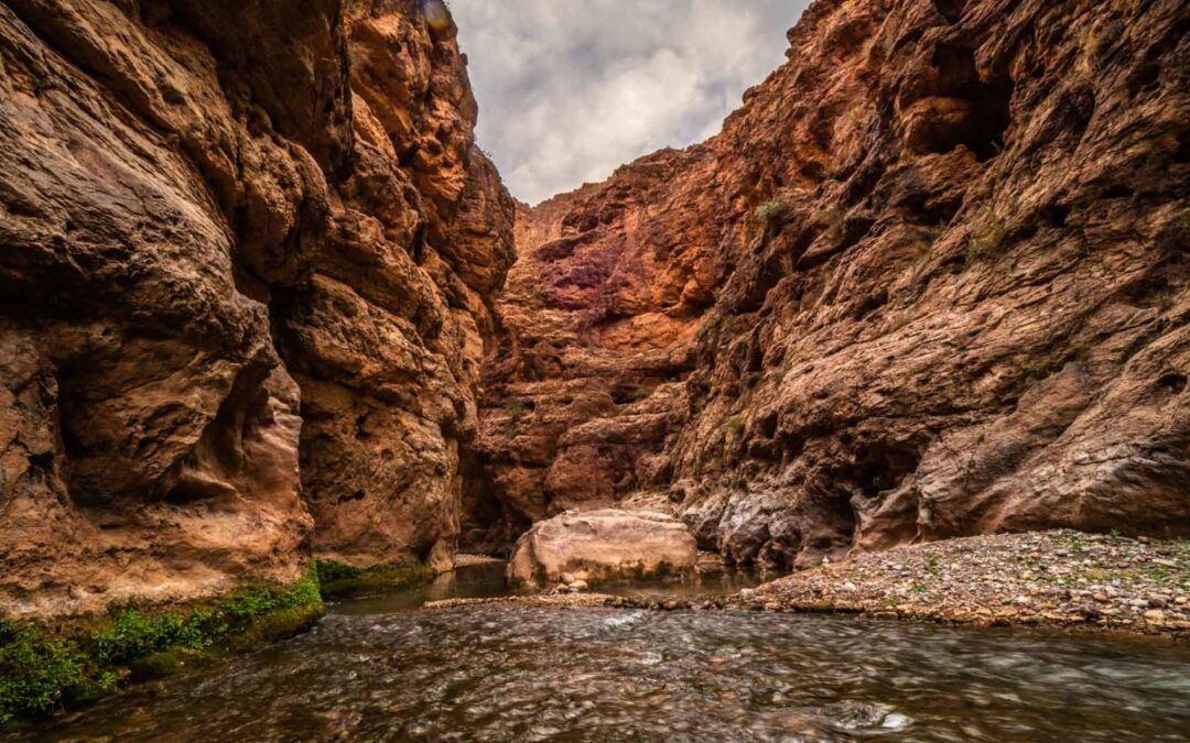 Traditional Berber Healing Practices and Natural Remedies