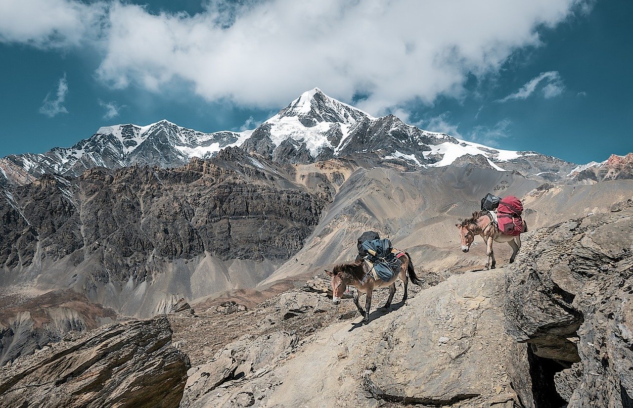 exploring-ancient-berber-rock-art-in-the-atlas-mountains